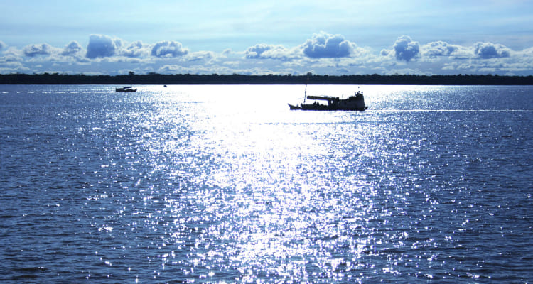 新着ブログ・製品ニュース