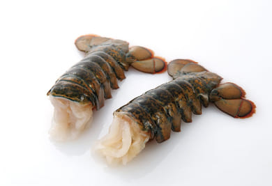 オマールUHP殻付きテール