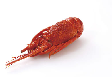 マダガスカル産