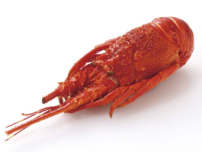 ロブスター製品