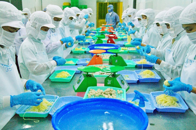 手作りのアペタイザーシリーズ＆ハーフカットマンゴー