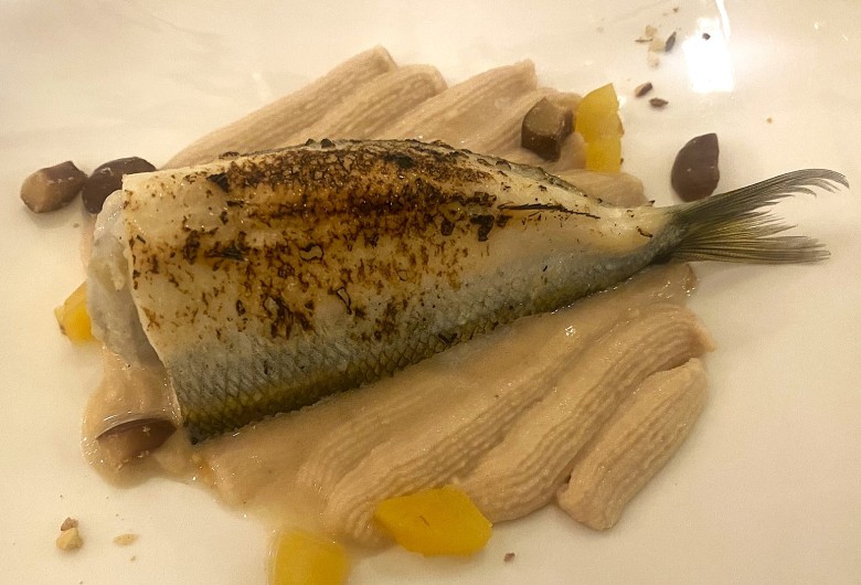 秋のお魚Night! (オサカナイト)